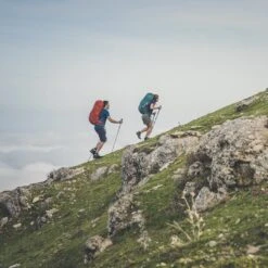 Lowe Alpine AirZone Active 22L Rugzak - Light Khaki 14 Lowe Alpine AirZone Active 22L Rugzak - Light Khaki -Lowe Alpine lowe alpine airzone active nd25 5 1482358 1